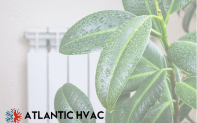 How to Reduce Indoor Humidity Without Overworking Your AC